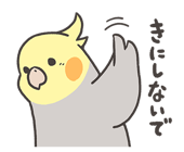 564295906