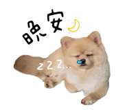 564317222