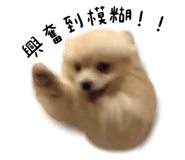 564317229