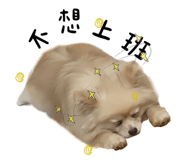 564317235