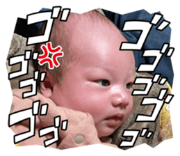 564325232