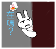 564325897