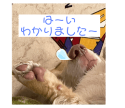 564341391