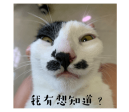 564352436