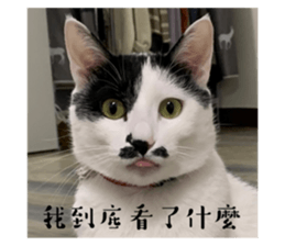 564352439