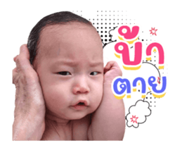 564360024