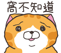 564371139