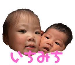 564403309