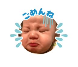 564420211