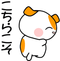 564494101