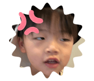 564499036