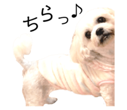 564555085