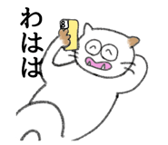 564555806