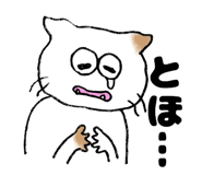 564555825