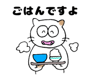 564555828