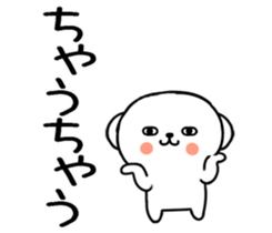 564582255
