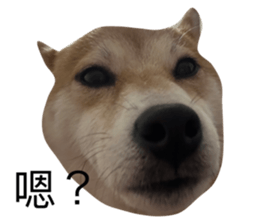 564583065
