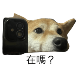 564583068