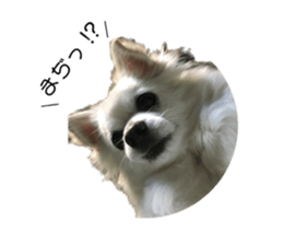 564606927