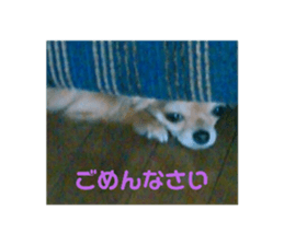 564615717