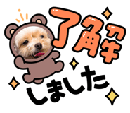 564664971