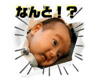 564676638