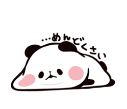 5646849