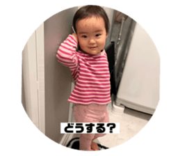 564698020