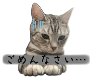 564815610