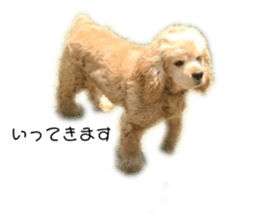564820755