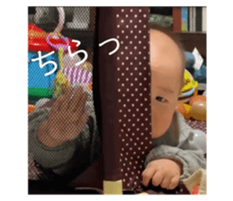 564823319