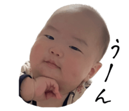 564823320