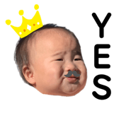 564836816