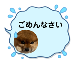 564846864