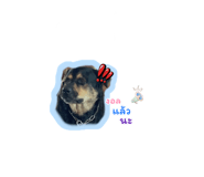 564895583