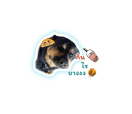564895585