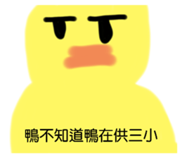 564906219