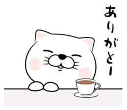 565005616