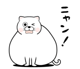 565005620
