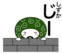 56500588