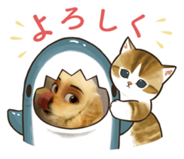 565007028