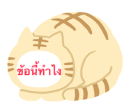 565080761