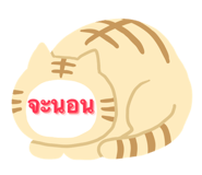 565080765
