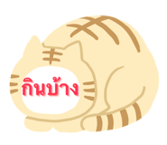565080767