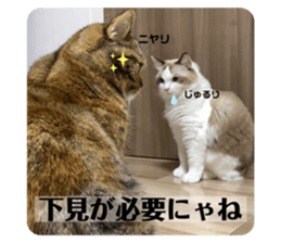 565082473