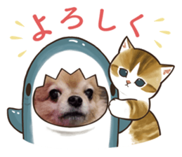 565083723