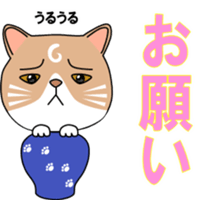 565086670