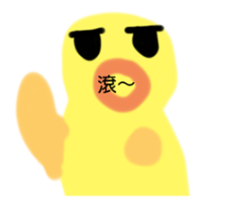 565094497