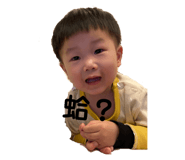 565098411