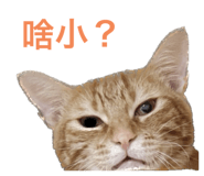565112936